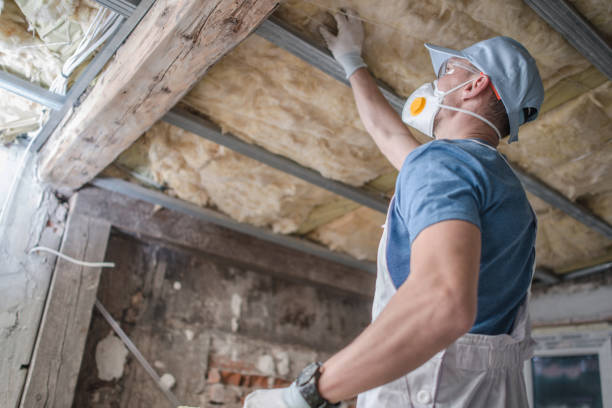 Best Geographic-Specific Insulation Services in East Camden, SC