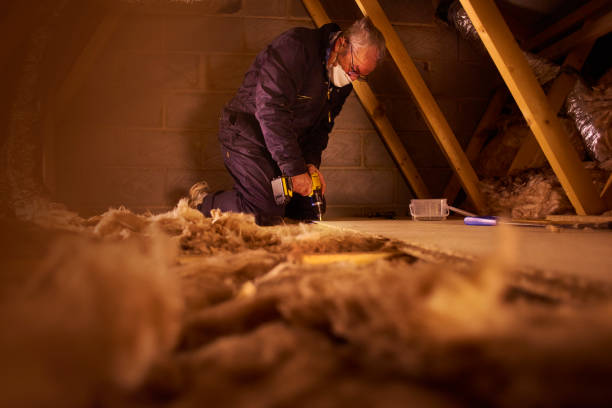 Best Specialized Insulation Services in East Camden, SC